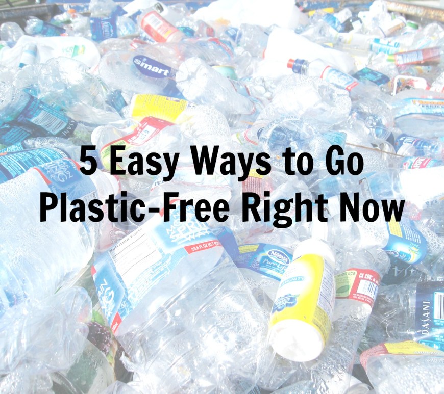 go plastic free