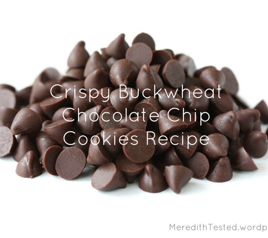 Gluten Free Dairy Free Chocolate Chip Cookie Recipe